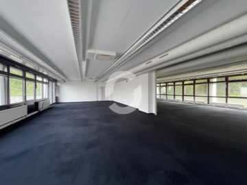 Für Kurzentschlossene: Flexible Bürofläche ab sofort verfügbar - EG Bauteil 3 (90647)