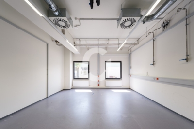 1.478 m² klimatisierte Flexfläche, ebenerdig – Denkendorf, A8 in 10 Minuten - Impression (98533)