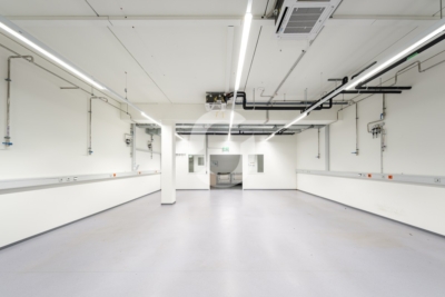 1.478 m² klimatisierte Flexfläche, ebenerdig – Denkendorf, A8 in 10 Minuten - Impression (98531)