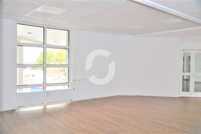 Großzügige Büroflächen in Sindelfingen - Bild 3 (98646)