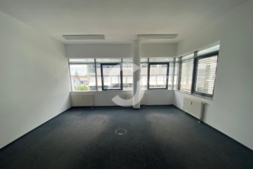 Großzügig geschnittene Büroflächen im Schillerhaus - Bild (86188)