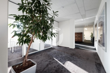 gut geschnittene Bürofläche – Kühlung möglich - Bild (75491)