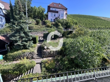 Mehrgenerationenhaus in guter Lage von Stuttgart-Untertürkheim zum Erwerb - Garten (93951)