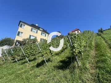 Mehrgenerationenhaus in guter Lage von Stuttgart-Untertürkheim zum Erwerb - Seitenansicht (93950)