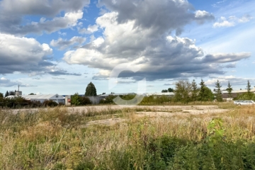 Eingeschotterte Freifläche in Schlierbach - Impression (89141)