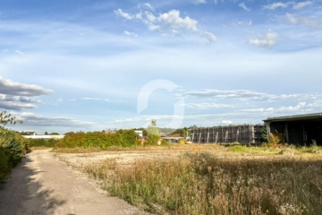 Eingeschotterte Freifläche in Schlierbach - Impression (89142)