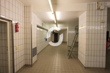 Lagerfläche in S-West – Lastenaufzug/ überdachte Andienung - Imp_3 (95199)