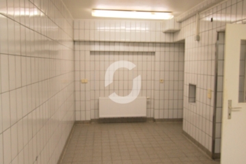 Lagerfläche in S-West – Lastenaufzug/ überdachte Andienung - Lager (95196)