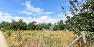 Grundstücksfläche, in Schlierbach - Titel (89106)