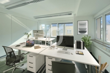 Ein ganzes Haus für Ihr Unternehmen? hier ist dies möglich! - unverbindliche Visu (93745)