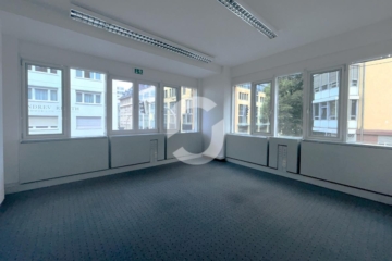 Ein ganzes Haus für Ihr Unternehmen? hier ist dies möglich! - Bild (93751)