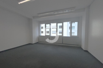 Ein ganzes Haus für Ihr Unternehmen? hier ist dies möglich! - Bild (93752)