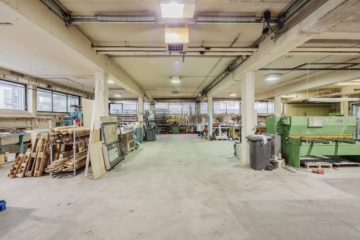 Attraktives, Büro- Produktion- & Lagergebäude - Hallenfläche (84915)