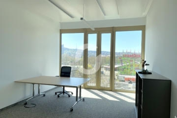 HOCHWERTIGE BÜRO- UND DIENSTLEISTUNGSGEBÄUDE AM NECKARPARK - Bild (86983)