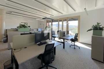 HOCHWERTIGE BÜRO- UND DIENSTLEISTUNGSGEBÄUDE AM NECKARPARK - Bild (86989)