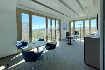 HOCHWERTIGE BÜRO- UND DIENSTLEISTUNGSGEBÄUDE AM NECKARPARK - Bild (86986)