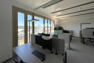 HOCHWERTIGE BÜRO- UND DIENSTLEISTUNGSGEBÄUDE AM NECKARPARK - Bild (86988)