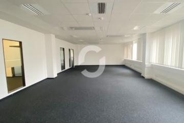 Büroflächen mit guter Anbindung an A81 - Bild (94210)