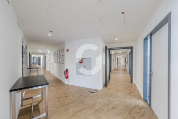 MILANEO – neu, modern, repräsentativ und einzigartig – Büroflächen im Europaviertel - Milaneo Office - 02-06-2025 - 28 (94338)