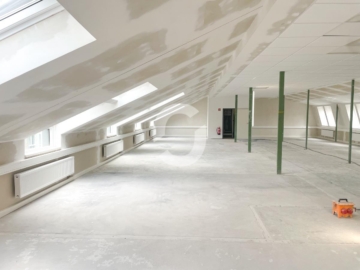 Sanierte Büroflächen – MwSt.-freie Anmietung möglich - Büro/DG (78775)
