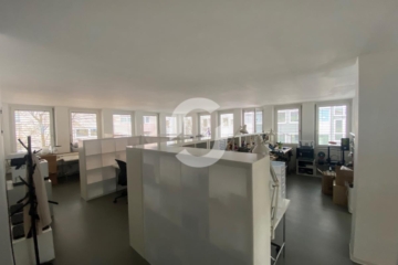 Arbeiten in einer hellen und inspirierenden Umgebung - Wilhelmstraße 5a (5) (74181)