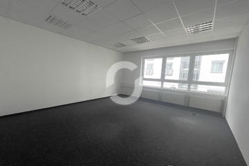 Effizientes Bürohaus | Stuttgart-Fasanenhof | Top Anbindung A8/B27 - Bild (95672)
