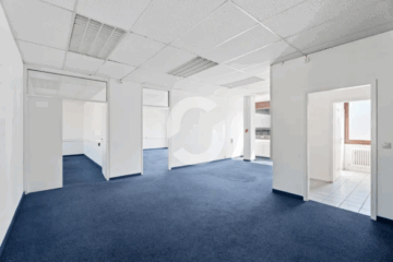 Büro u. Test oder Handelsfläche im EG (900 qm) - 2. OG (91426)