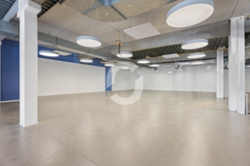 Büro u. Test oder Handelsfläche im EG (900 qm) - EG (91435)