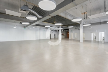 Büro u. Test oder Handelsfläche im EG (900 qm) - EG (91436)