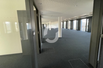Exklusive Adresse im SkyLoop Building am Flughafen Stuttgart - Imp klein 2 (92804)