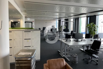 Exklusive Adresse im SkyLoop Building am Flughafen Stuttgart - Imp klein 5 (92807)