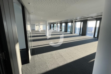 Exklusive Adresse im SkyLoop Building am Flughafen Stuttgart - Imp klein 1 (92803)