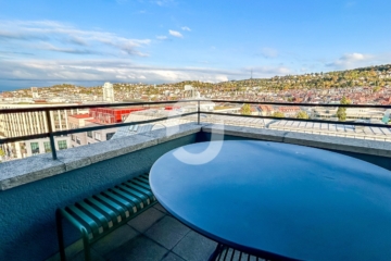 LOFT?! – in der City, gibt’s das? Ja bei uns! - Terrasse (93706)