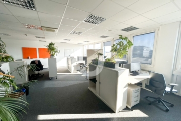 Repräsentative Büroflächen in Leonberg – Effizienz trifft Eleganz - Impression (88830)