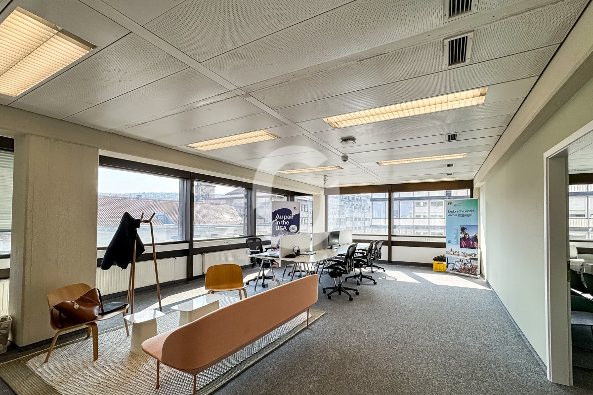 Open-Space-Büro 1