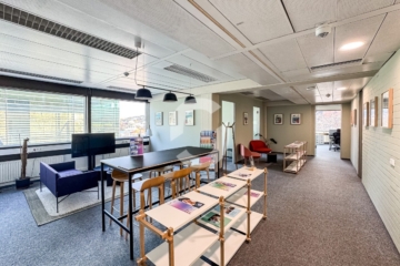 Schlossplatz-Blick: City-Büro in Stuttgart-Mitte mit Vollklimaanlage Untermietfläche - Eingangsbereich (93492)