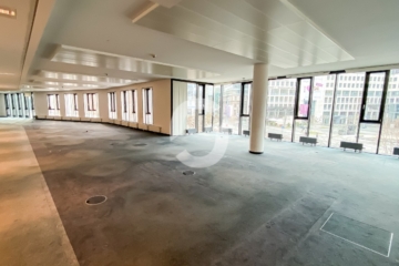 Exklusive Büroflächen im Königsbau – ab sofort verfügbar (870 m²) - Großraumbüro (92512)