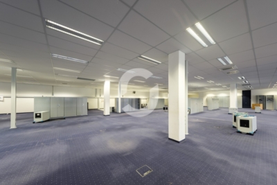 Bürofläche 1.474 m² im 1. OG – teilbar, 62 Stellplätze, Denkendorf bei Stuttgart - Impression (98568)
