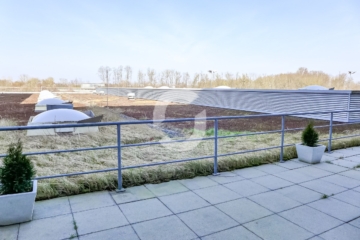 Helle und großzügige Büroflächen - Dachterasse (92268)