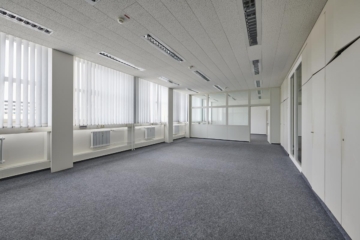 Büroflächen auf dem ehemaligen Kodak-Areal - Bürofläche 2. OG (72456)