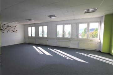 Büroflächen Gewerbeareal in Fellbach - Impression (73968)