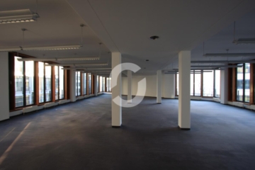 Ansprechende Büroflächen in bester Sichtlage - IMG_7636 (76340)