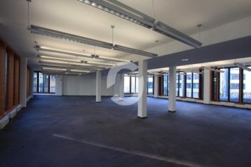 Ansprechende Büroflächen in bester Sichtlage - IMG_7639 (76342)