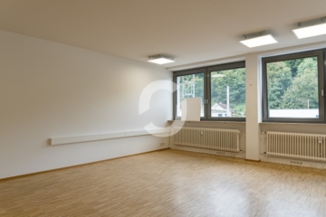 Bürofläche in Wangen ab sofort verfügbar – 150 und 220 m² - Impression (88856)