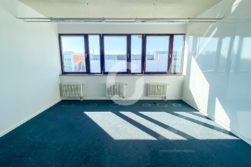 Modernisierte Büroflächen ab 300 m² in Top-Zustand - Büro (88874)