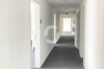 Modernisierte Büroflächen ab 300 m² in Top-Zustand - Flur (88882)