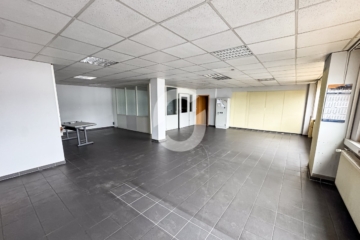 Lagerhalle mit Krananlage & Büroflächen in Heilbronn – Zentrale Anbindung im Gewerbegebiet - Impressionen (94272)