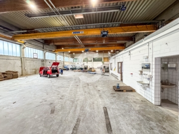 Lagerhalle mit Krananlage & Büroflächen in Heilbronn – Zentrale Anbindung im Gewerbegebiet - Impressionen (94277)