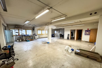 Lagerhalle mit Krananlage & Büroflächen in Heilbronn – Zentrale Anbindung im Gewerbegebiet - Impressionen (94274)