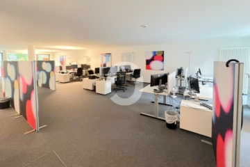 Moderne Bürofläche direkt am Marktplatz - Innenansicht (77448)